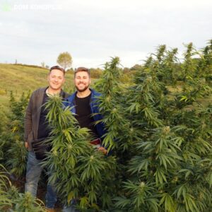 We grow for you!